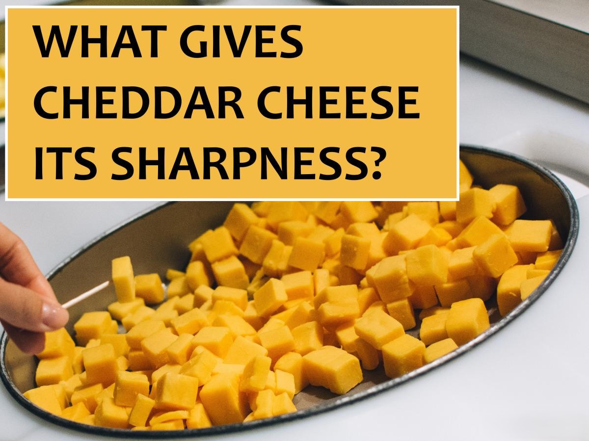 What Gives Cheddar Cheese It's Sharp Taste?
