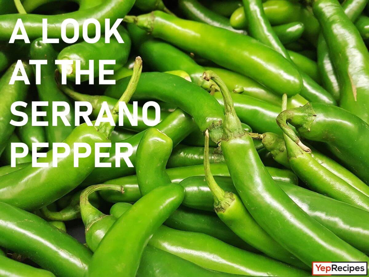 The Fiery World of Serrano Peppers