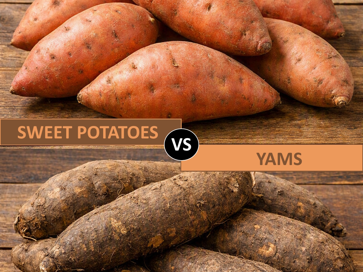 Are Sweet Potatoes and Yams The Same Thing?
