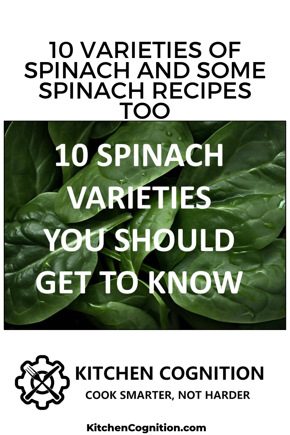 10-varieties-of-spinach-and-some-spinach-recipes-too