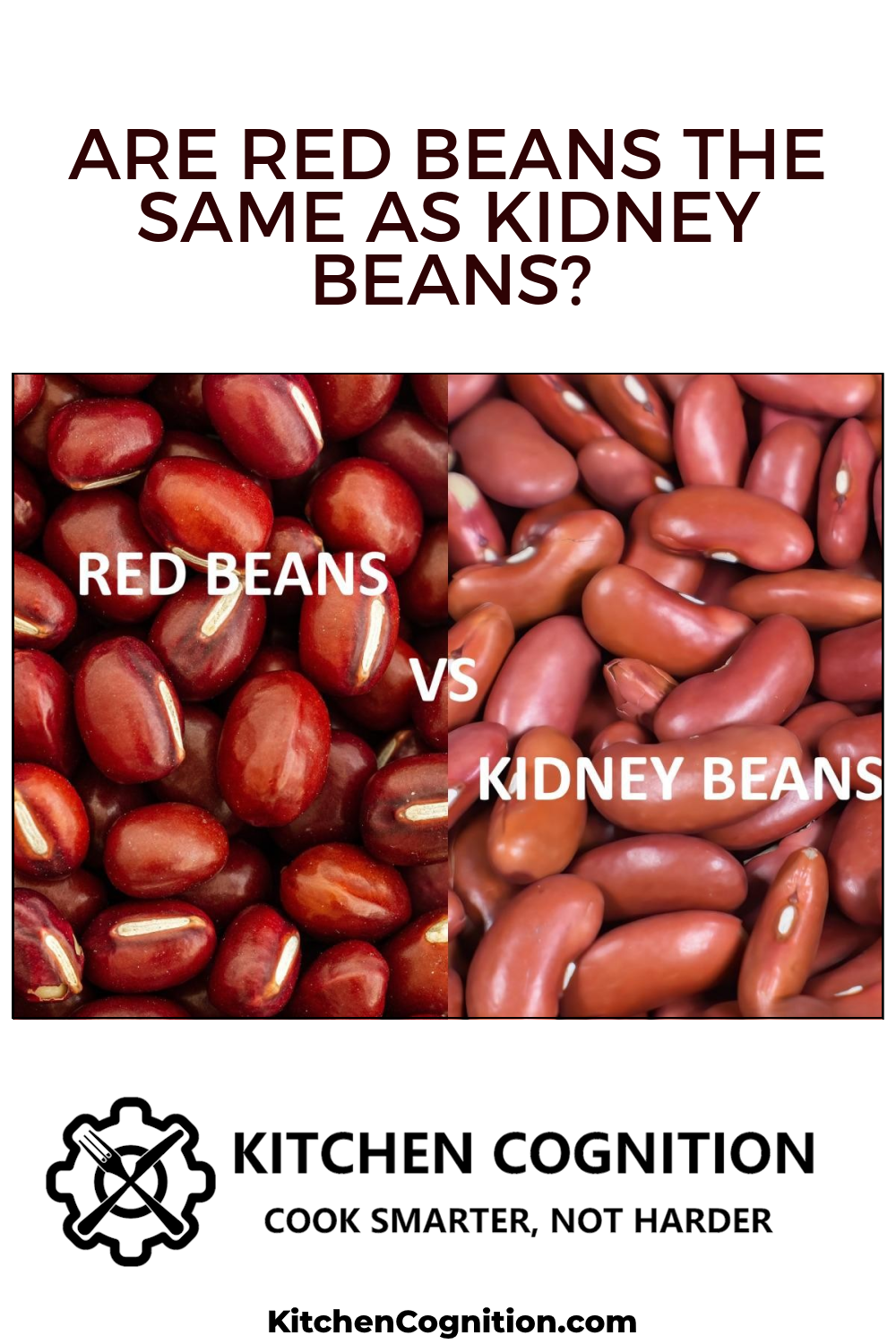 are-red-beans-the-same-as-kidney-beans
