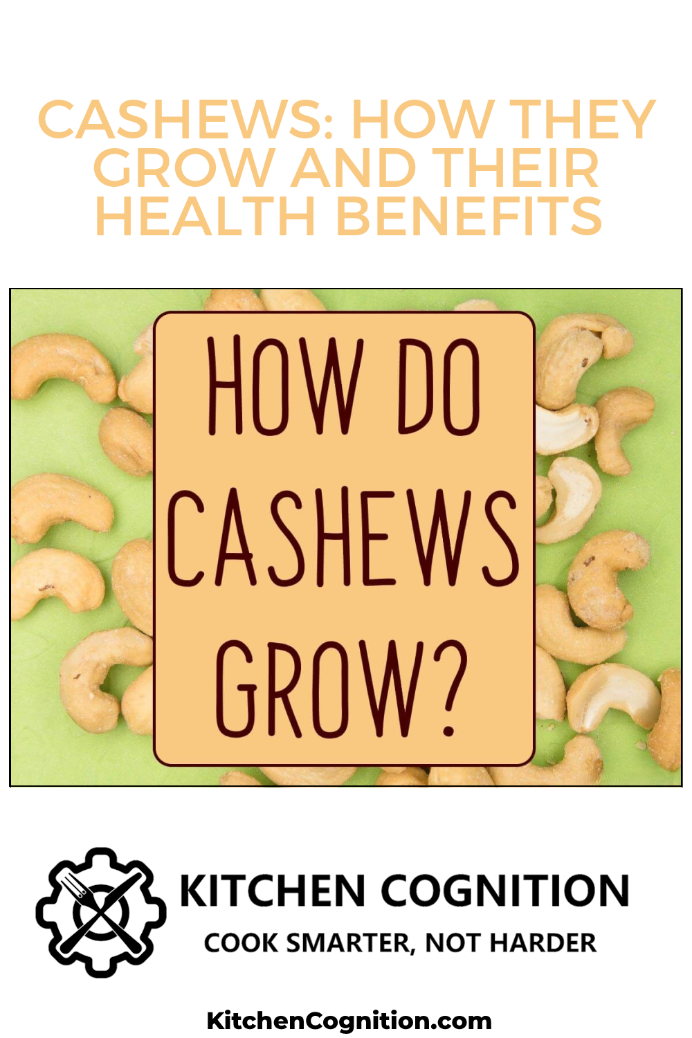 cashews-how-they-grow-and-their-health-benefits