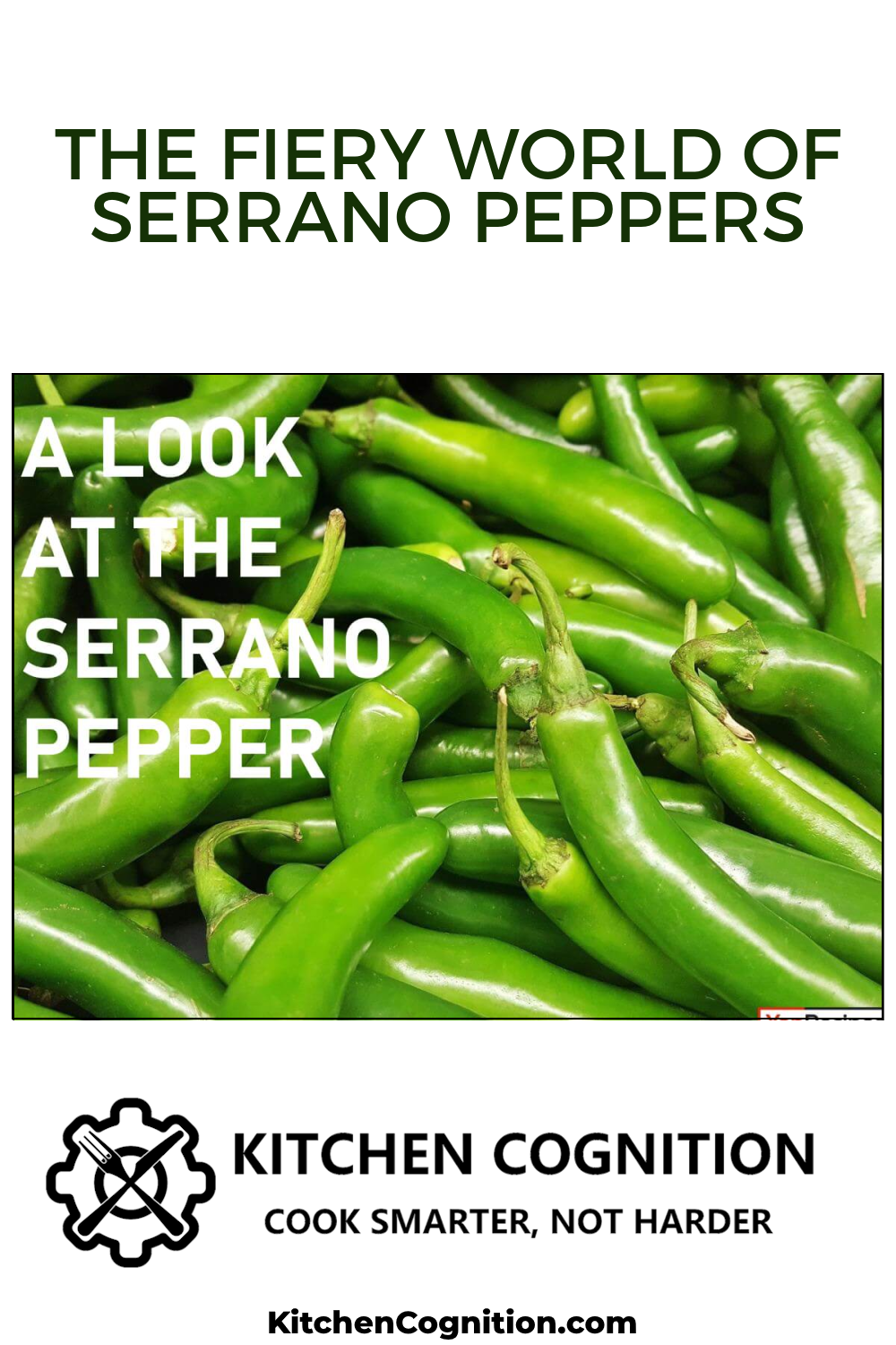 the-fiery-world-of-serrano-peppers