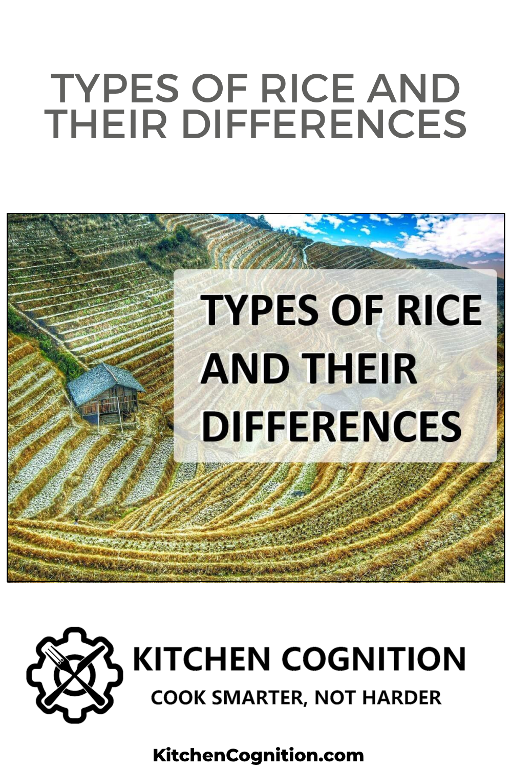 types-of-rice-and-their-differences
