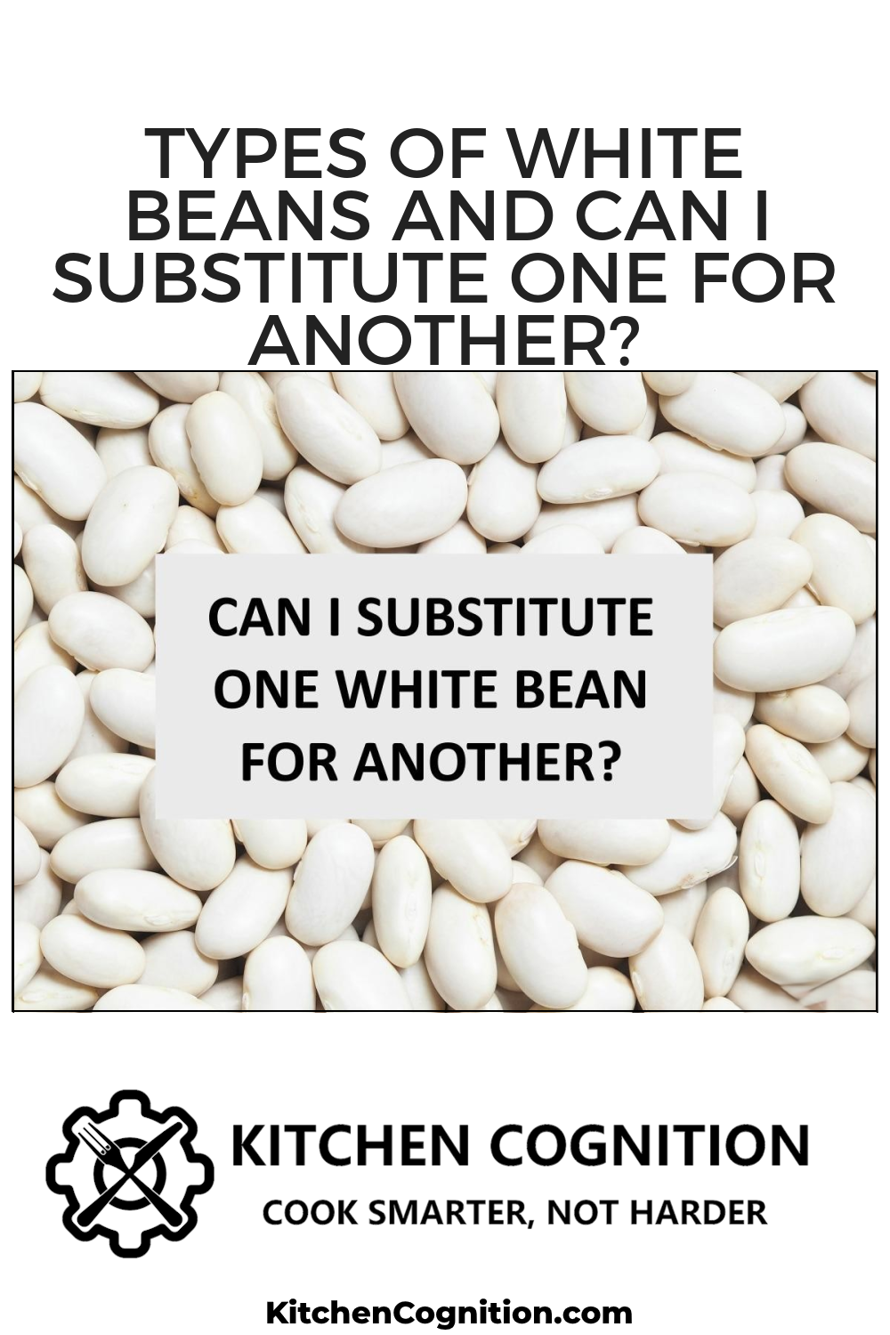 types-of-white-beans-and-can-i-substitute-one-for-another