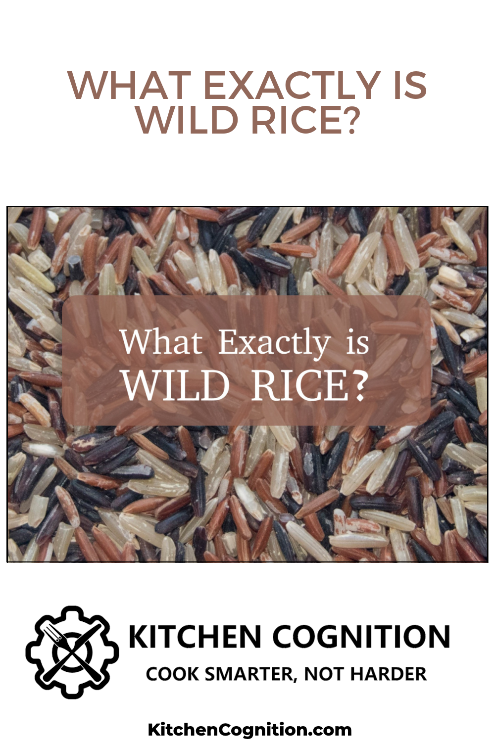 what-exactly-is-wild-rice