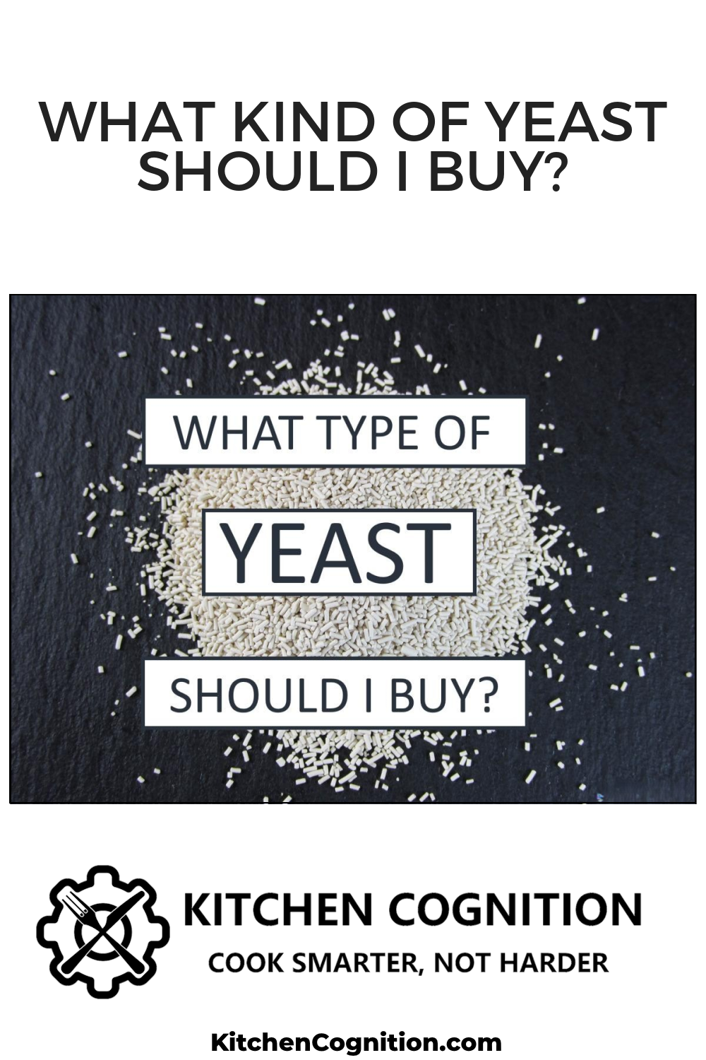 what-kind-of-yeast-should-i-buy