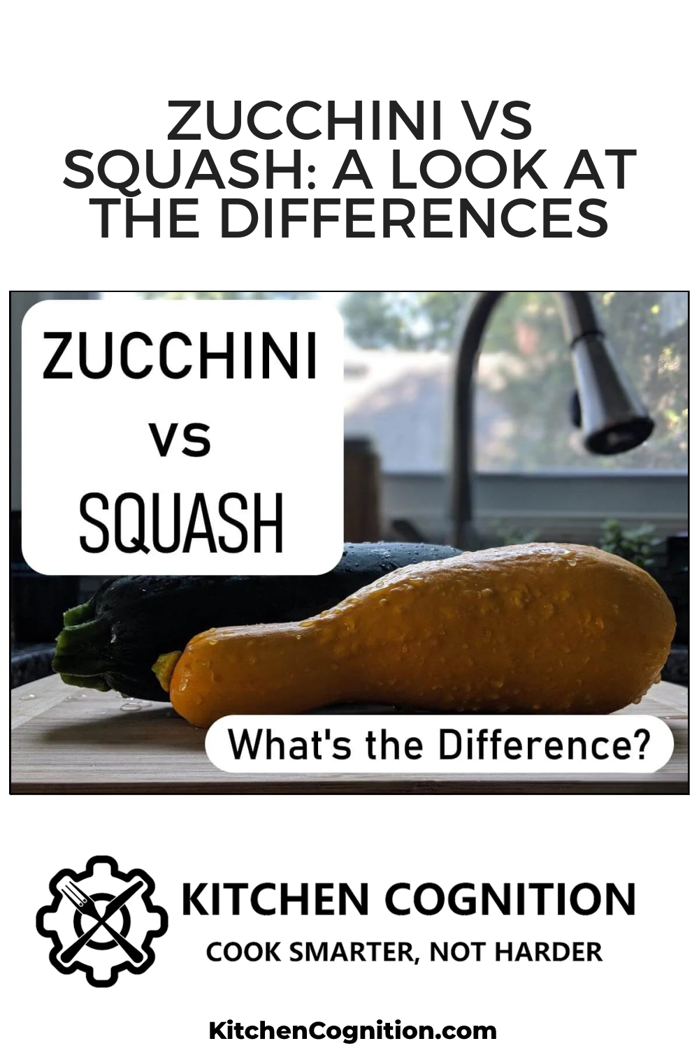 zucchini-vs-squash-a-look-at-the-differences